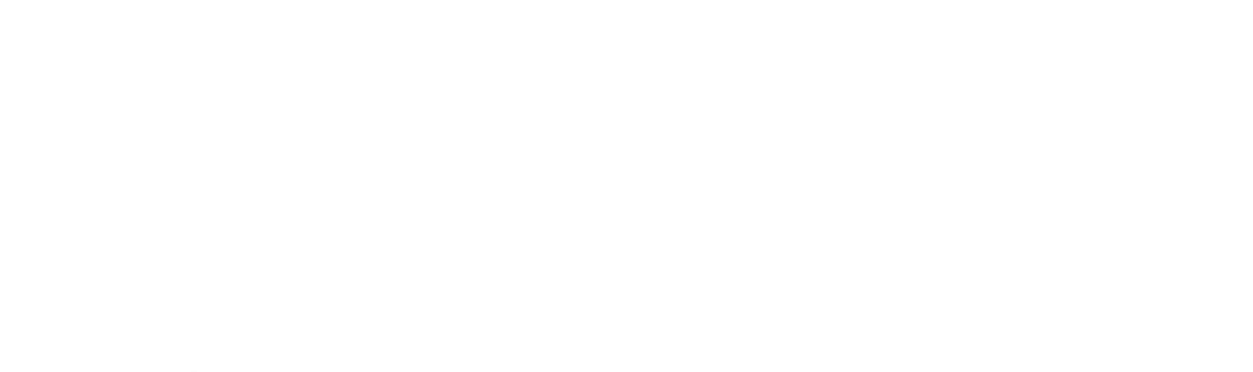 logo 4 fiinsa sigla branco